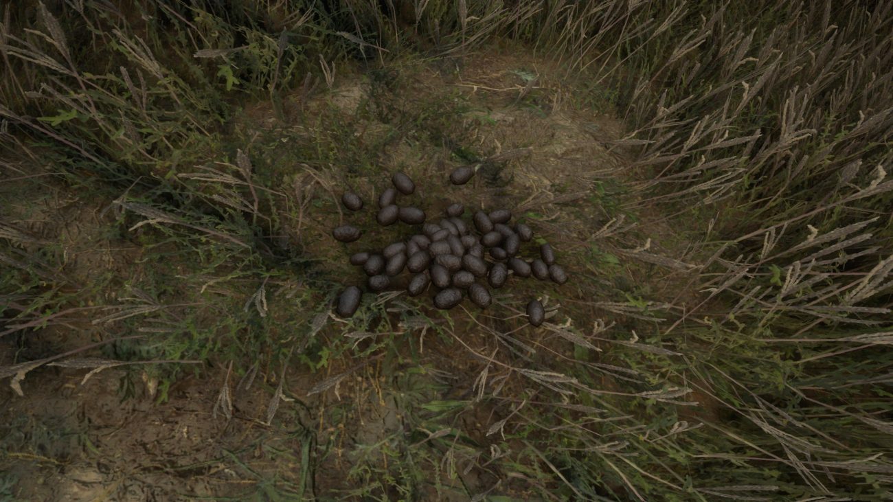 Animal Droppings and Times in theHunter: Call of the Wild