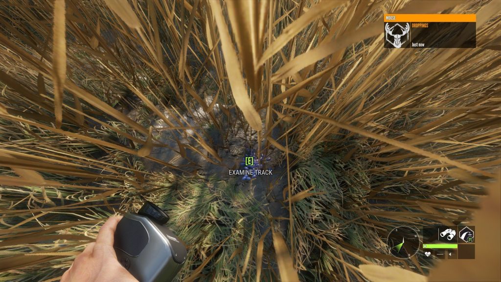 animal droppings times hunter call of the wild 1024x576 - Animal Droppings and Times in theHunter: Call of the Wild