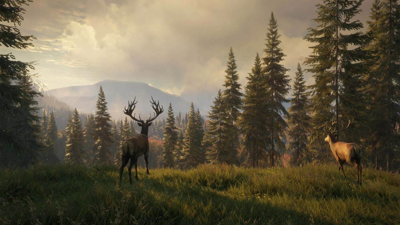 Weapon Pack 3 Release Date for theHunter: Call of the Wild