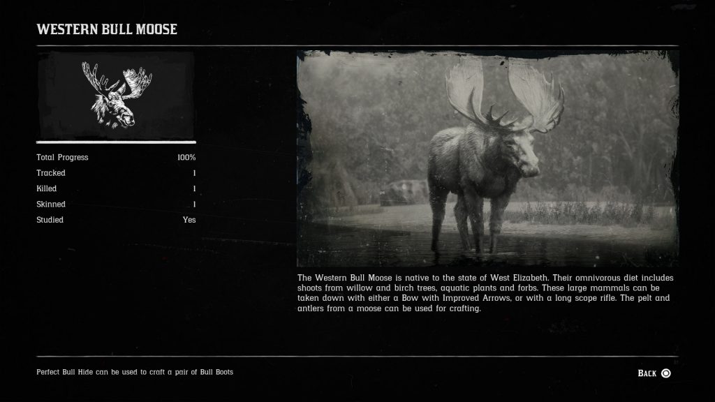 western bull moose red dead redemption 2 1024x576 - Moose Locations - Red Dead Redemption 2
