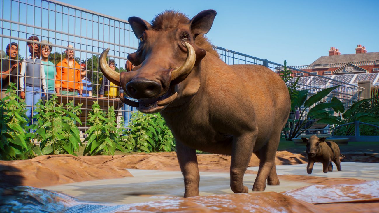 Planet Zoo’s Exclusive Beta on PC Begins Next Week