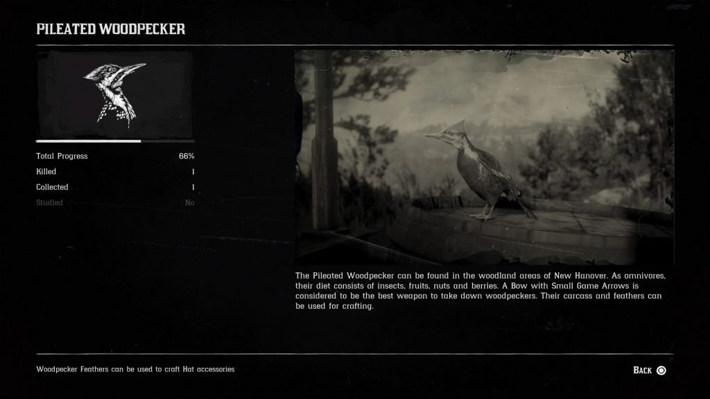 Pilated Woodpecker 1024x576 - Where to Find a Woodpecker in Red Dead Redemption 2