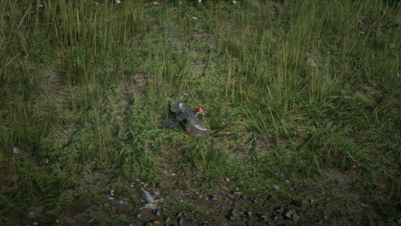 Where to Find a Woodpecker in Red Dead Redemption 2