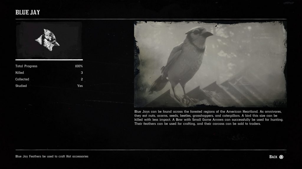Blue Jay 1024x576 - Blue Jay Location in Red Dead Redemption 2