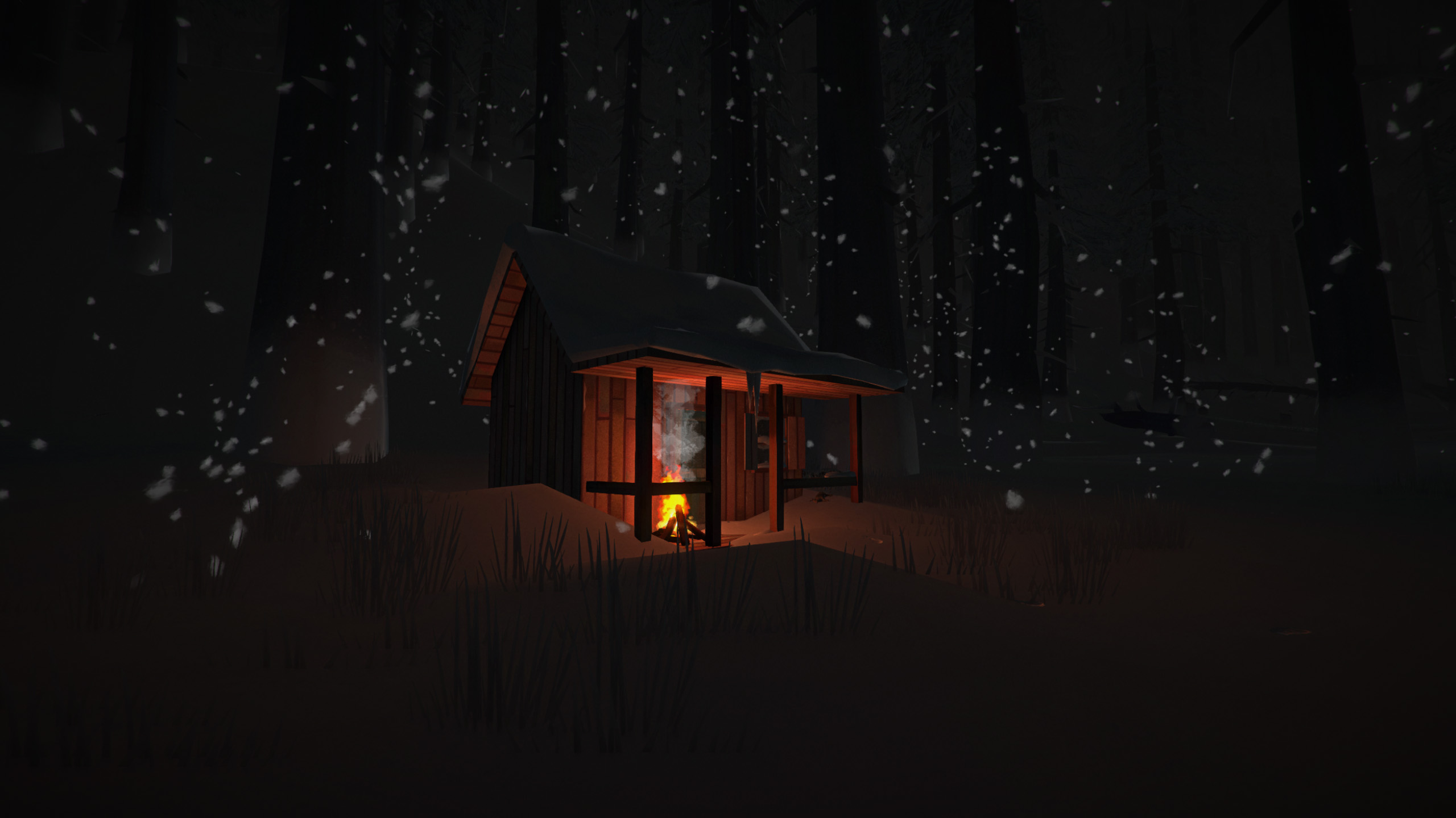 the long dark curing
