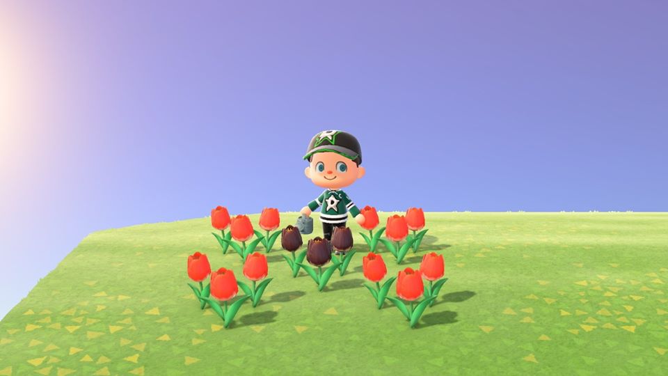 Hybrid Flowers - How to Create Hybrid Flowers in Animal Crossing: New Horizons