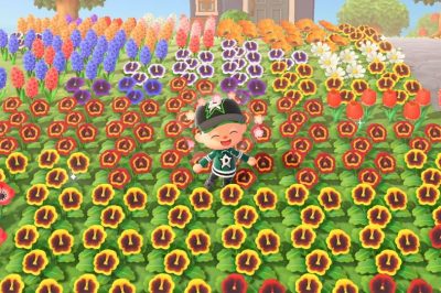 How to Create Hybrid Flowers in Animal Crossing: New Horizons - Guide Stash