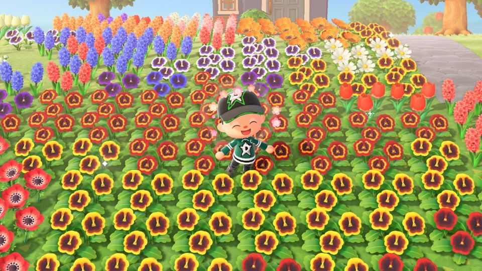 How to Create Hybrid Flowers in Animal Crossing: New Horizons