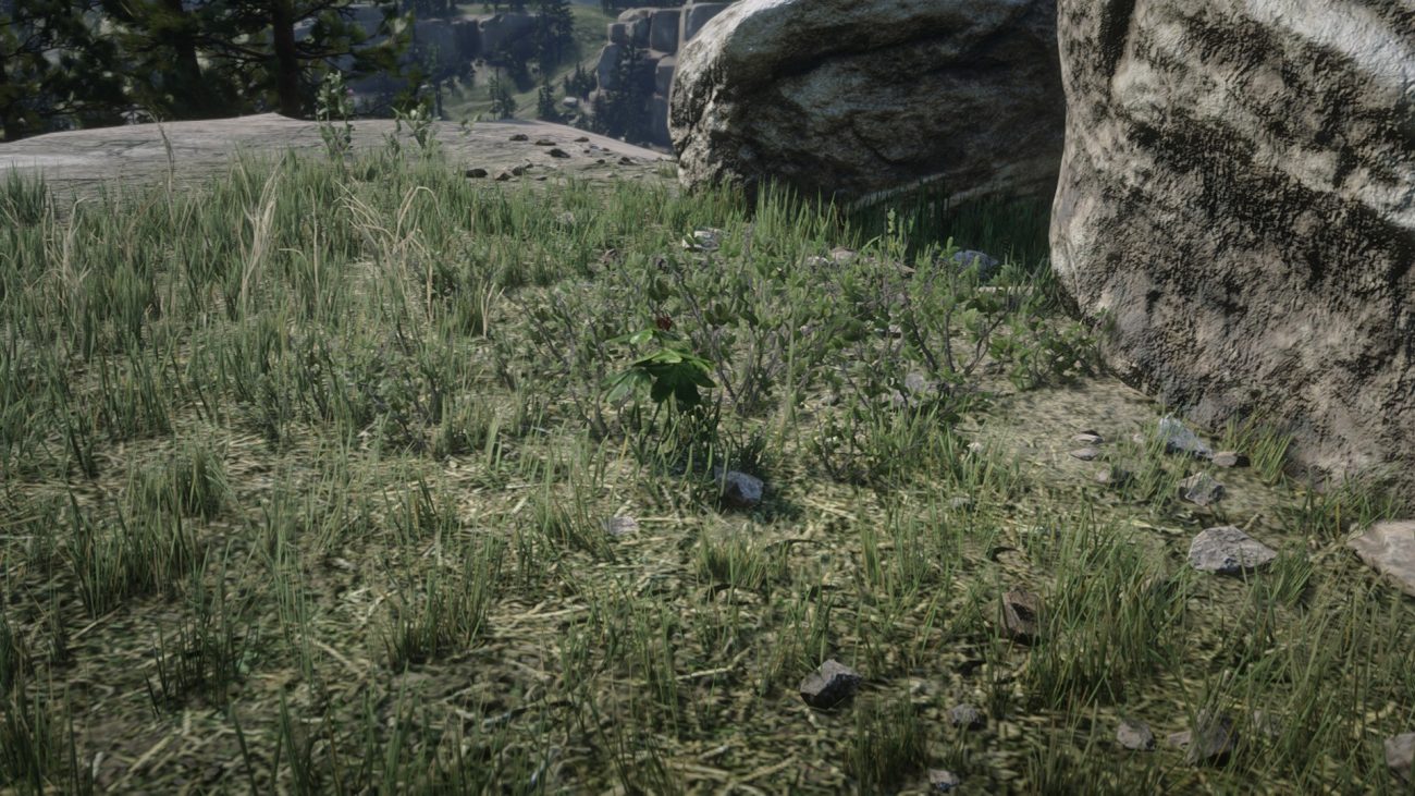 American Ginseng Location – Red Dead Online