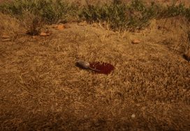 Banded Armadillo Location – Red Dead Online