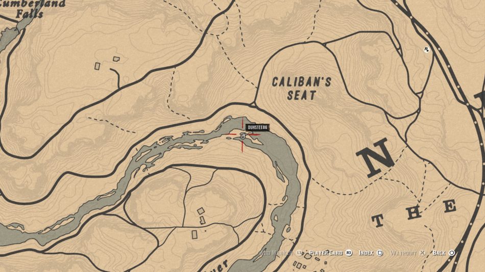 Common Bulrush Location – Red Dead Online - Guide Stash