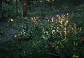 Creeping Thyme Location – Red Dead Online