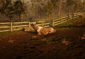 Cows Location – Red Dead Online