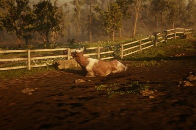 Cows Location – Red Dead Online