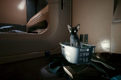 How to Get a Pet Cat in Cyberpunk 2077