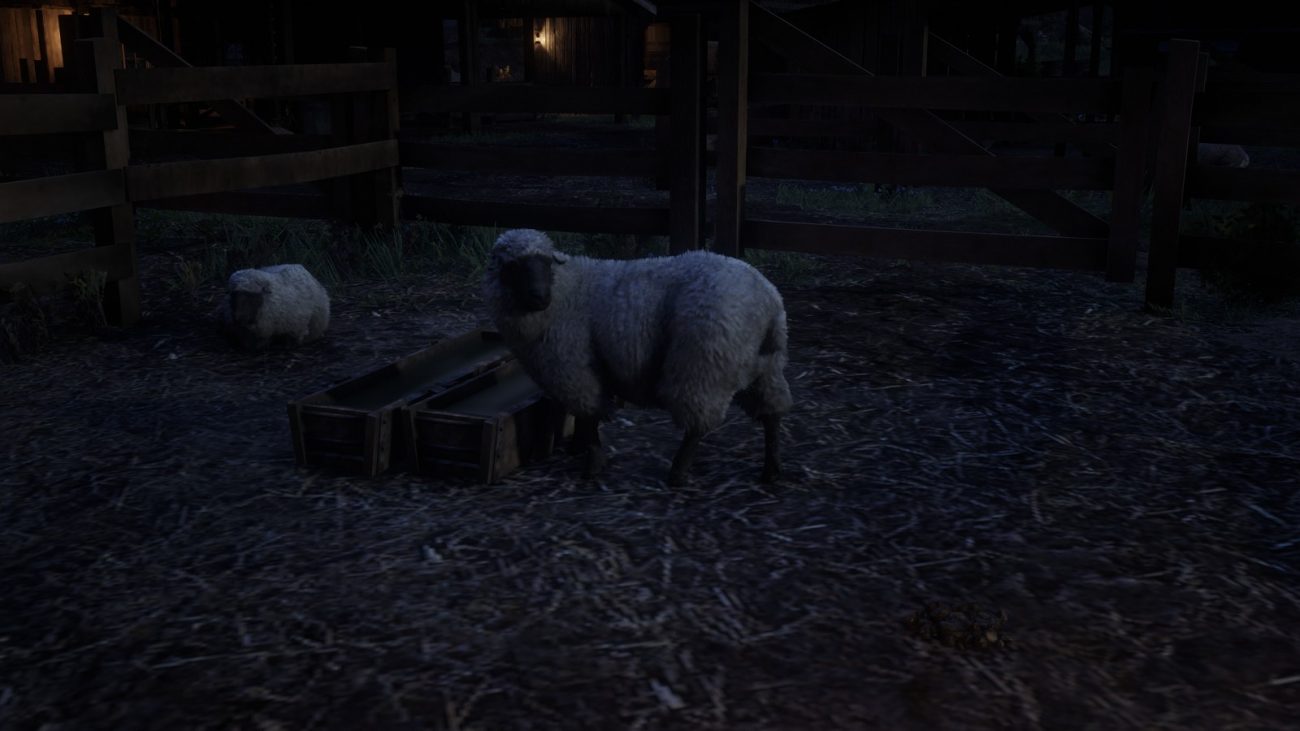 Sheep Location – Red Dead Online