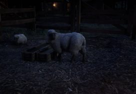 Sheep Location – Red Dead Online