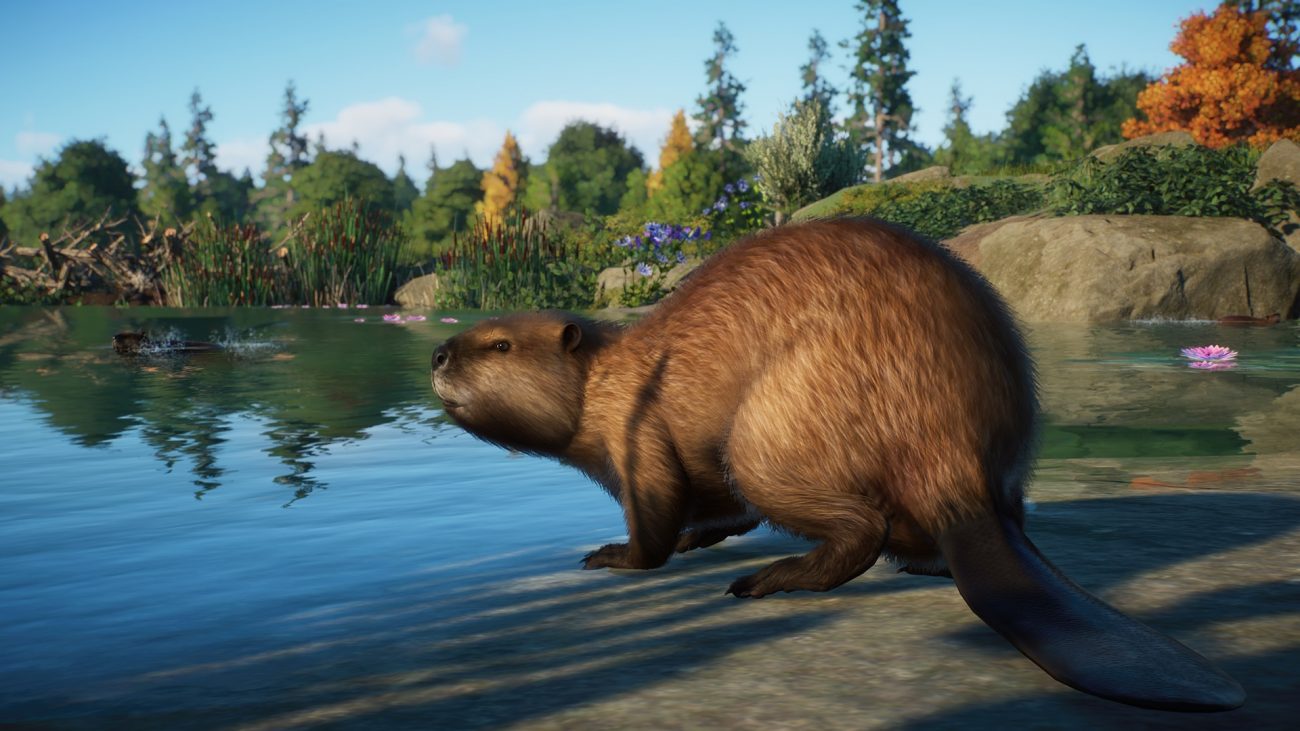 Planet Zoo: North America Animal Pack Arrives Next Month