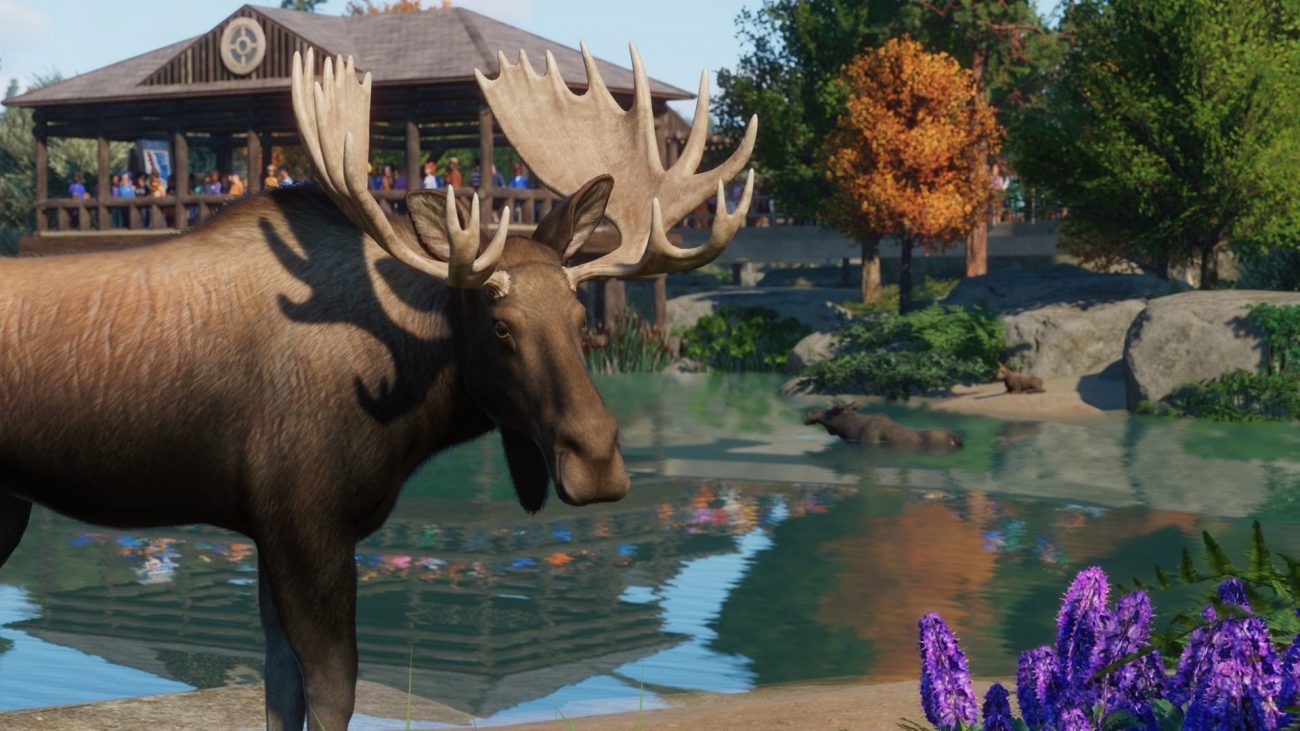 Planet Zoo: North America Animal Pack Adds Beavers, Alligators, and More