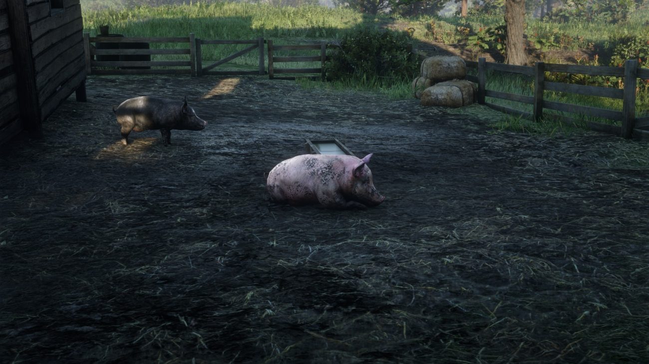 Pig Location – Red Dead Redemption 2