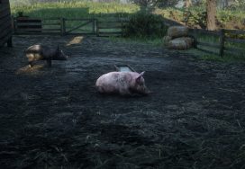 Pig Location – Red Dead Redemption 2