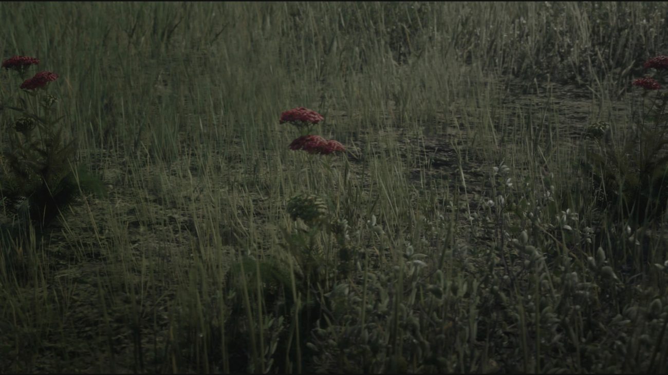 Yarrow Location – Red Dead Redemption 2