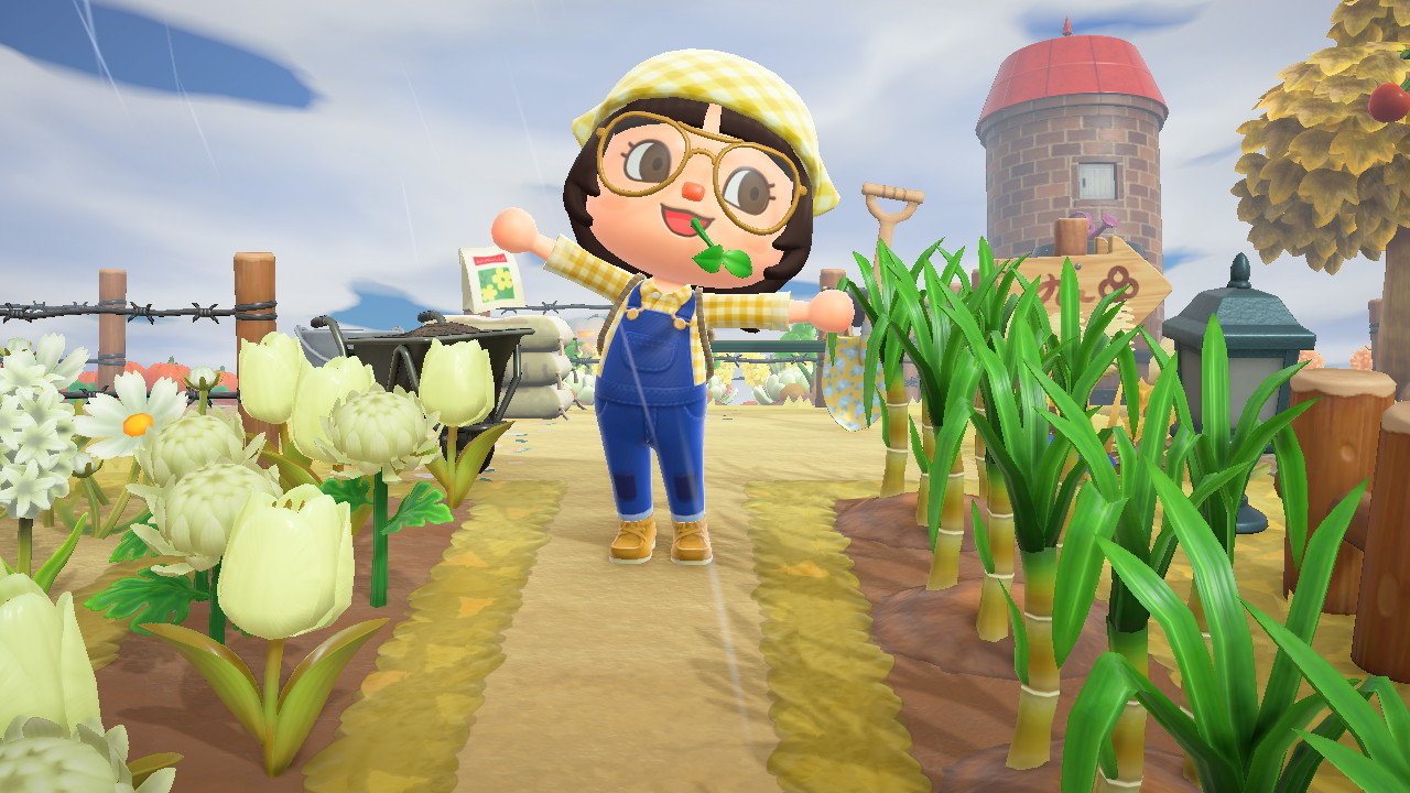 How to Get Sugarcane in Animal Crossing: New Horizons