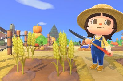 How to Get Wheat in Animal Crossing: New Horizons