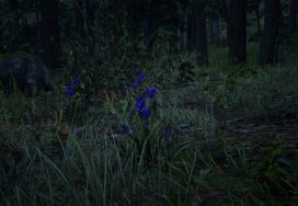 Violet Snowdrop Location – Red Dead Redemption 2