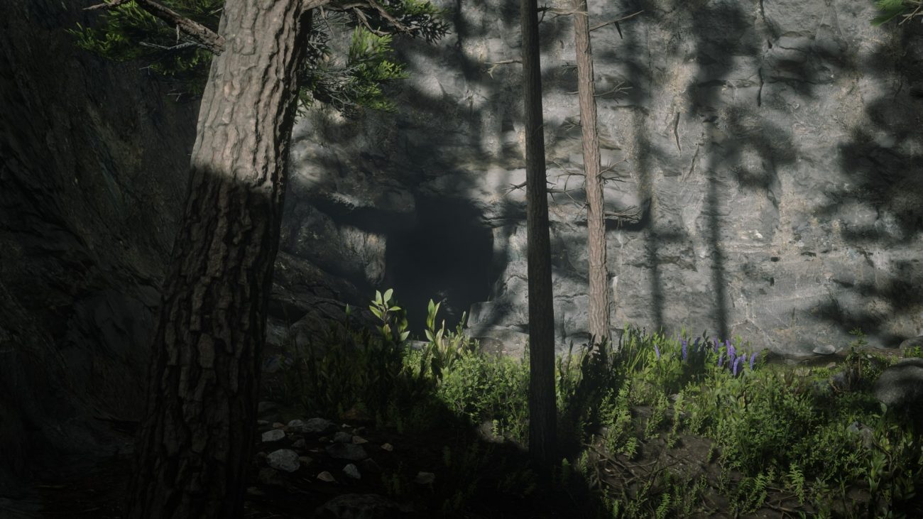Devil’s Cave Location – Red Dead Redemption 2
