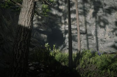 Devil’s Cave Location – Red Dead Redemption 2