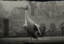 Pelican Location – Red Dead Redemption 2